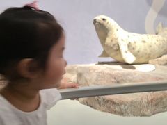-中国湿地博物馆