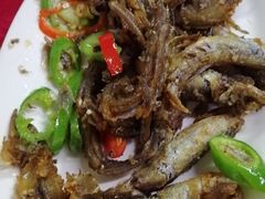 -蛇口康乐快餐鱼仔档(翠苑小区店)