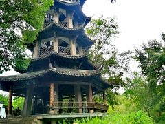 -西溪国家湿地公园