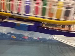 -巴克创奇梦工厂