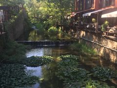 -Local泰莲庭(虹鳟鱼店)