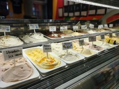 -Dooley's Premium Ice Cream