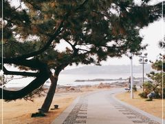 -青岛第三海水浴场