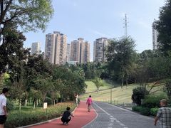 -龙头寺公园