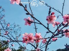 -绍兴东湖风景区
