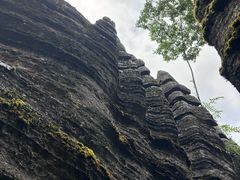 -梭布垭石林景区