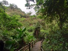 -海口火山口国家地质公园