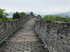 -黄贤森林公园