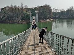 -东湖落雁景区