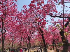 -昆明动物园