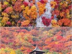 -周口店坡峰岭风景区