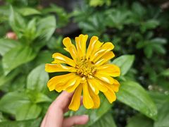 -蘇河湾·新鲁菜·泰山宴(泰山店)