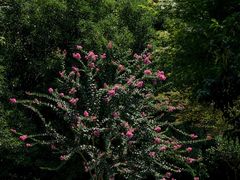 -杭州城北体育公园