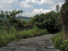 -凤岗南门山森林公园