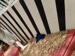 -Eureka优瑞卡儿童主题乐园(合生汇购物中心店)