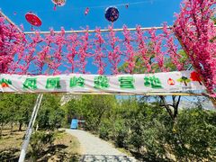 -北京凤凰岭