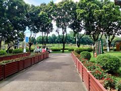 -紫马岭公园