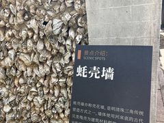 -碧江金楼