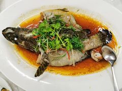 野生斑鱼-宜兴隆家宴·私房菜(泰安华庭店)
