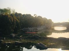 -溱湖国家湿地公园