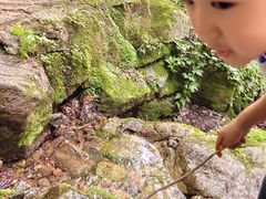 -天女山森林公园