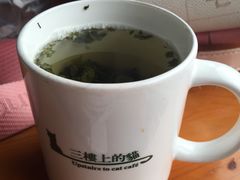 -三楼上的猫咖啡馆(山师东路店)