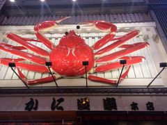 -蟹道乐(道顿堀本店)