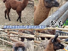 -宁波野生动物园