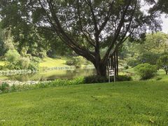 -云溪植物园