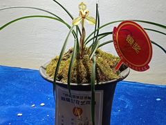 -重庆园博园