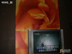 -上海歌城