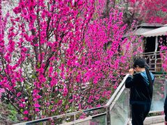 -正宗火盆自助烧烤·烤全羊·柴火鸡(龙泉山店)
