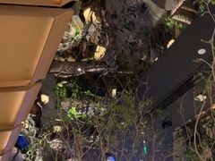 -桂满陇·海市蜃楼·黑金(国金店)