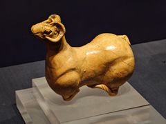 -温州博物馆