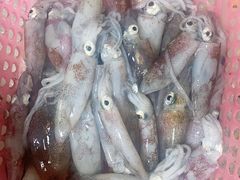 -坛南湾阿强农家乐.海鲜大排档老字号(福州地标美食店)