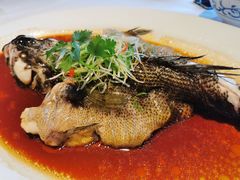 清蒸笋壳-顺峰(农展馆店)