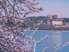 -颐和园