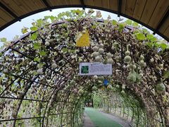 -中国天府农业博览园