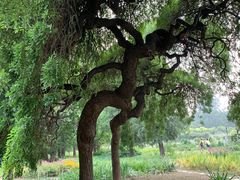 -国家植物园南园