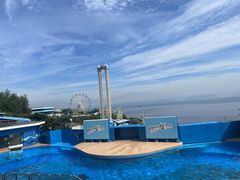 -香港海洋公园
