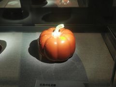 -景德镇中国陶瓷博物馆