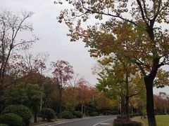 -光谷希尔顿酒店-厨意意大利餐厅(鸿雁路店)
