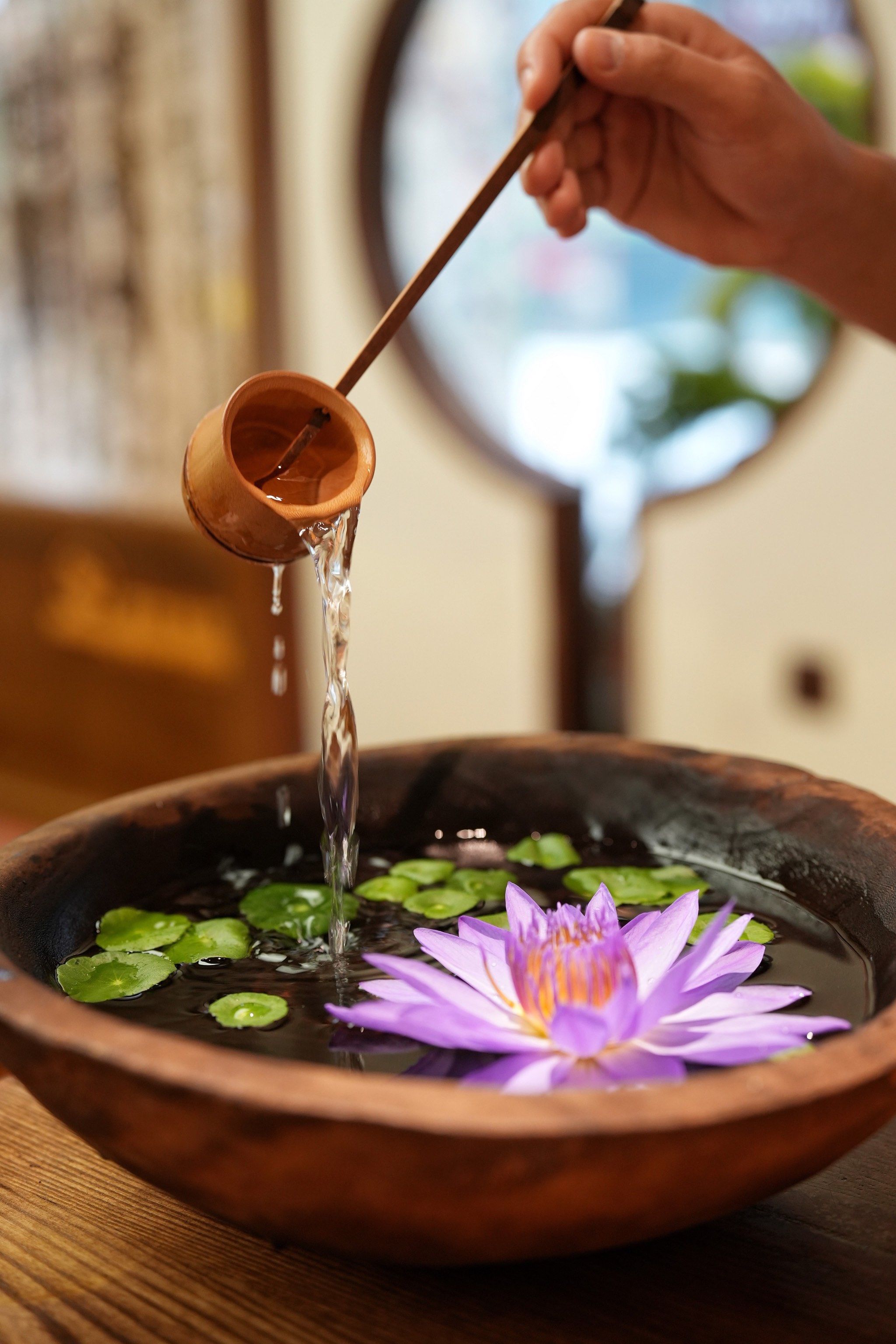 下班后的好去处,这里喝"花酒"好浪漫