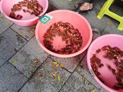 -黄埔古港