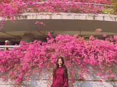 -深圳仙湖植物园-停车场