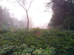 -杭州城北体育公园