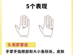 -沈阳沈大医院