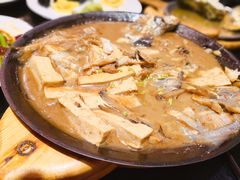 鲜鱼一锅出-船歌·鱼水饺青岛菜(合肥路永旺店)