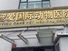 -宠爱国际动物医院·疑难骨科·心肾内科·皮肤科(太阳宫店)