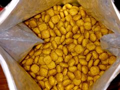 -瑞派天宁宠物医院·猫科·异宠中心